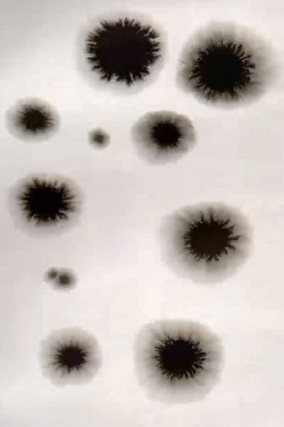 Poster do Filme Animation from Poland Residence