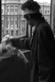 Poster do Filme Room Service for Bombed Buildings