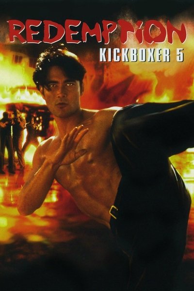 Watch - (1995) Kickboxer 5: The Redemption Movie Online Free Torrent