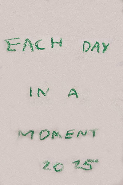 Each Day in a Moment: 2025