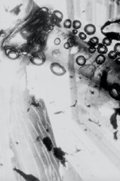 movie poster for Keratin Reserve