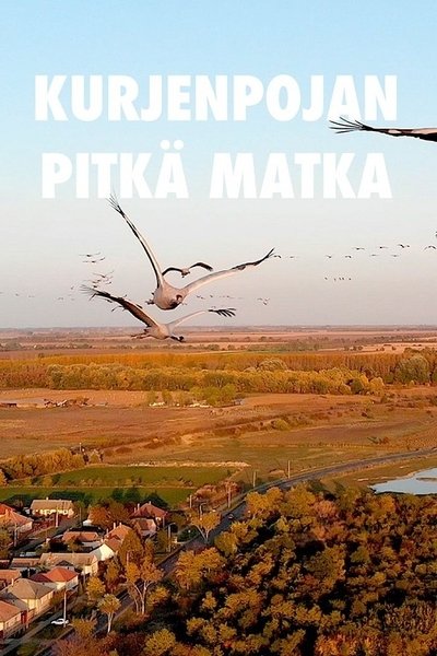 Poster do Filme Kurjenpojan pitkä matka