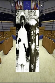 Poster do Filme Brussels