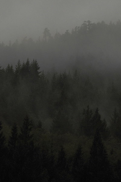 Green Valley image