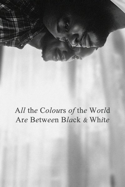 Poster for the movie All the Colours of the World Are Between Black and White
