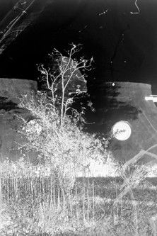 Poster do Filme The Adobe House