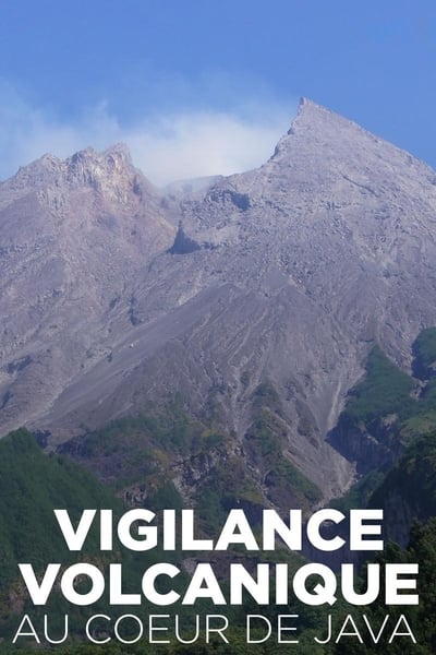 poster Vigilance volcanique au coeur de Java