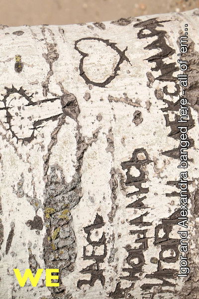 Poster do Filme МИ