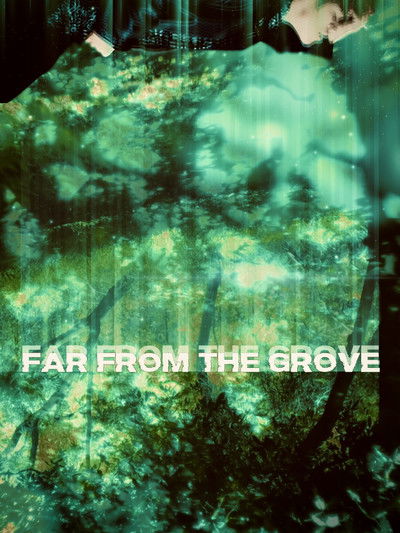 Poster do Filme Far From the Grove