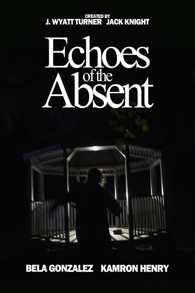 movie poster for Echoes of the Absent