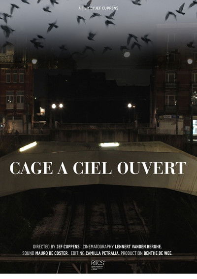 Poster do Filme Cage À Ciel Ouvert