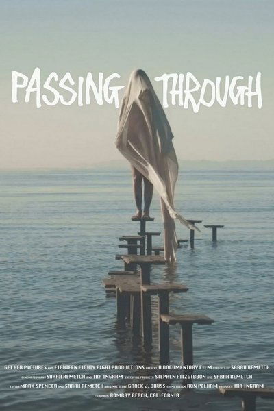 movie poster for Passing Through
