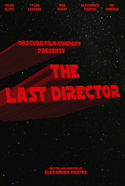 movie poster for The Last Director