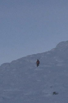 Poster do Filme The Observers