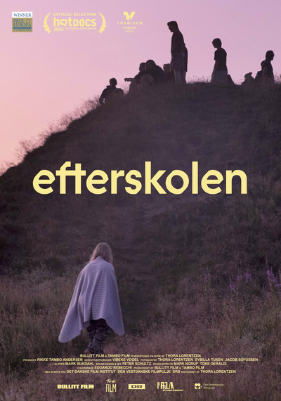 Poster do Filme Efterskolen