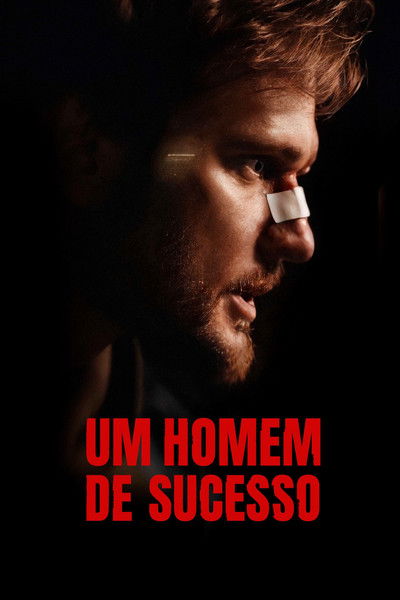 Poster do Filme Um Homem de Sucesso
