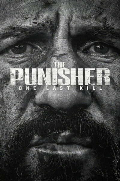 The Punisher: One Last Kill