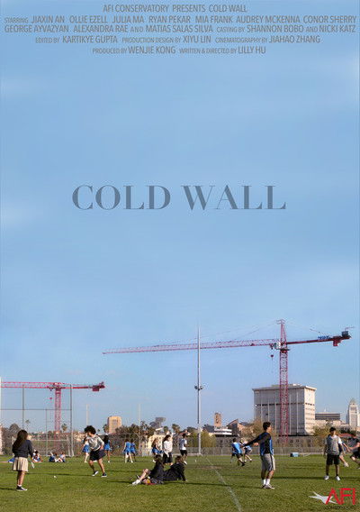 Poster do Filme Cold Wall