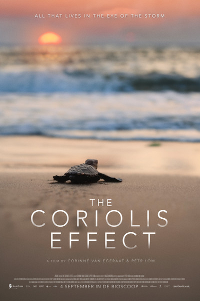 Poster do Filme The Coriolis Effect
