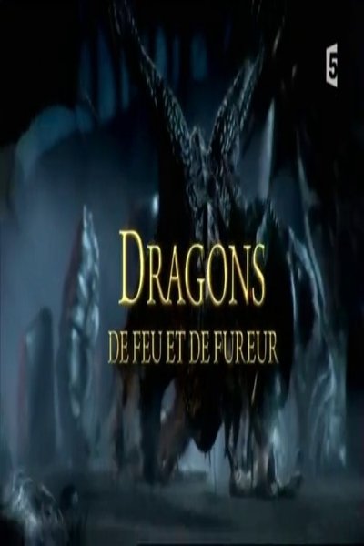 movie poster for Dragons de feu et de fureur