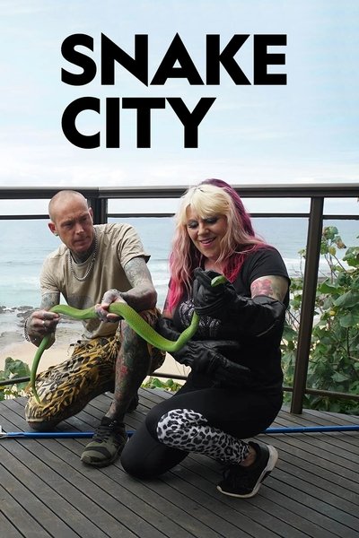 tv poster