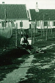 Poster do Filme Ved Havet