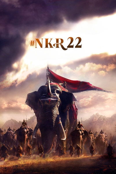 Poster do Filme NKR22