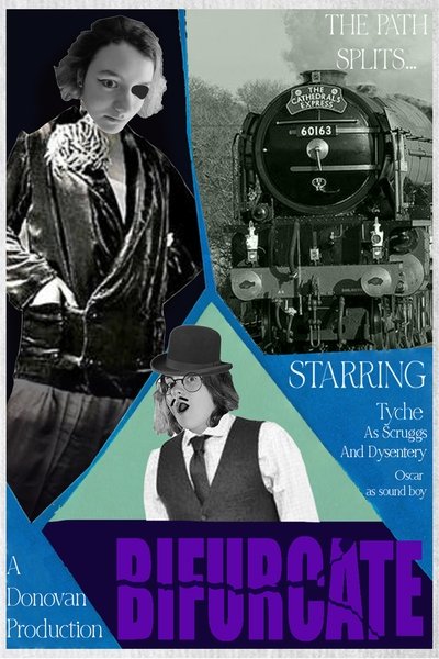 movie poster for Bifurcate