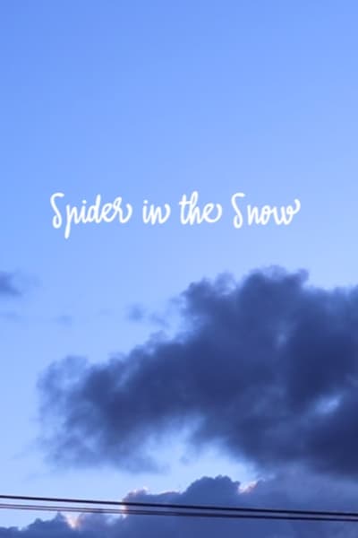 Spider in the Snow