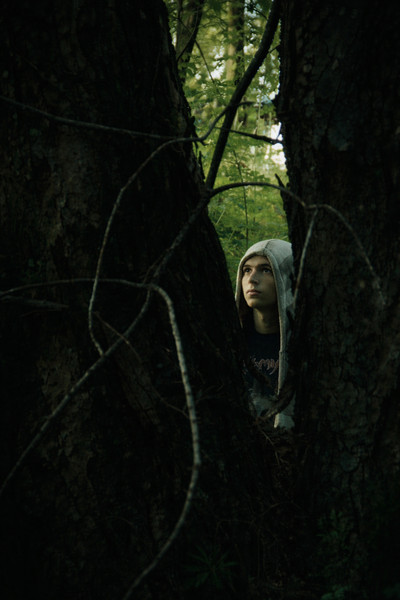 movie poster for Comme des mouches