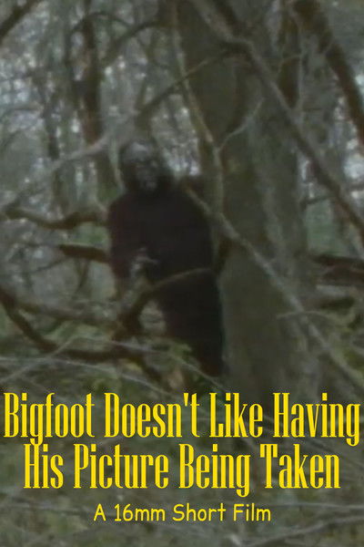 Poster do Filme Bigfoot Doesn't Like Having His Picture Being Taken