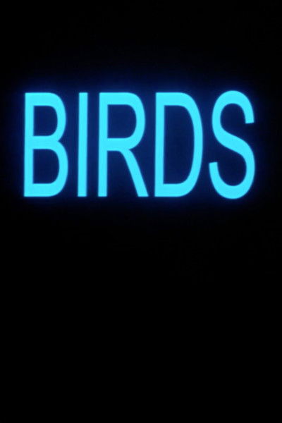 Poster do Filme Birds