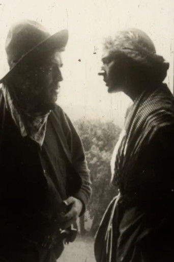 Poster do Filme The Thief's Wife