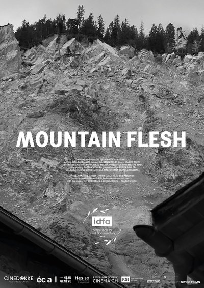 Poster do Filme Mountain Flesh