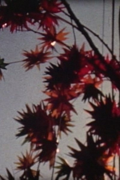 Watch!(1985) 東京蜜月 Movie OnlinePutlockers-HD
