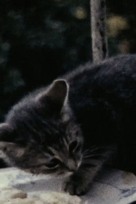 Poster do Filme Padres