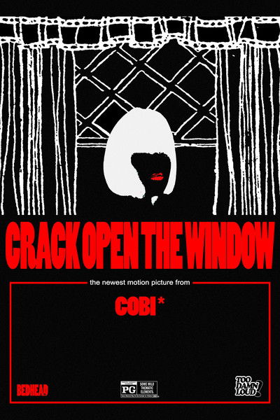 Poster do Filme Crack Open The Window
