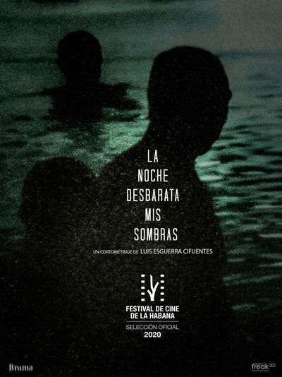 Poster do Filme A Noite Desbarata Minhas Sombras