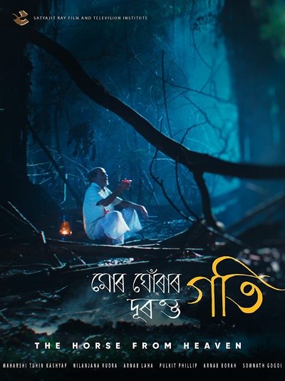 movie poster for The Horse From Heaven