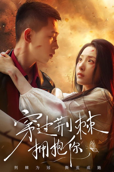 poster for 穿过荆棘拥抱你