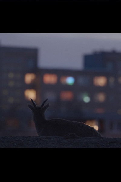 Poster do Filme Hingetõmbehetk