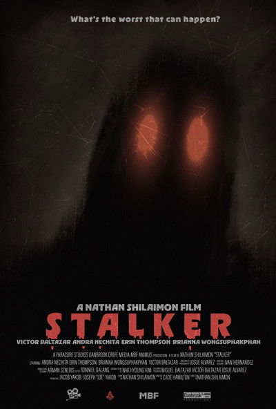 Poster do Filme STALKER