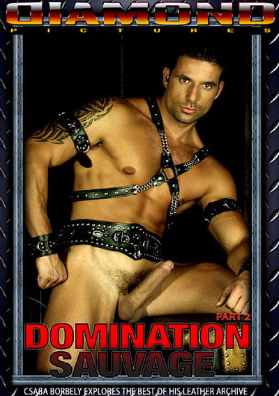Domination Sauvage 2