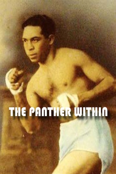 Poster do Filme The Panther Within
