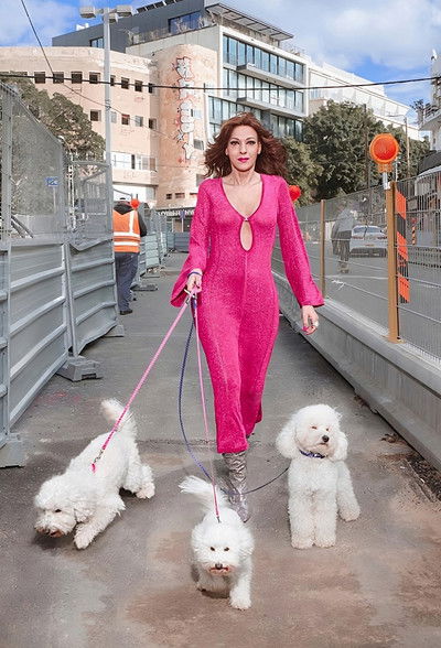 poster for דנה קמה