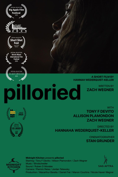 Poster do Filme Pilloried