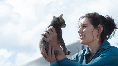 Görsel #24693