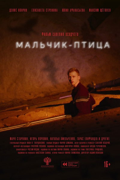 Poster do Filme Мальчик-птица