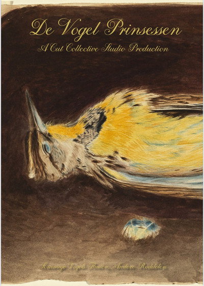 De vogel prinsessen
