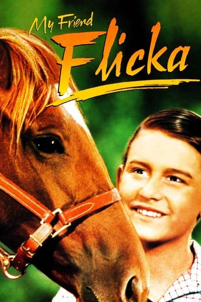 Minha Amiga Flicka Dublado Online